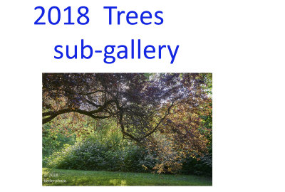 2018_trees