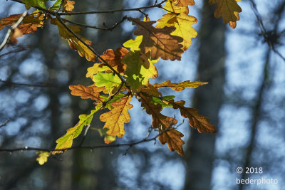 g10/27/1147027/3/168414749.RwLxpMte.jpg