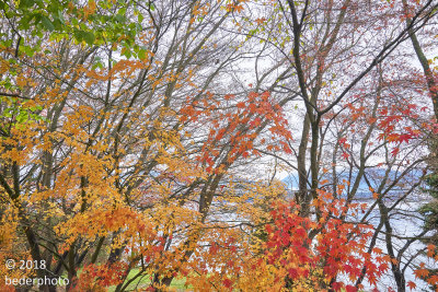 late autumn tapestry #3