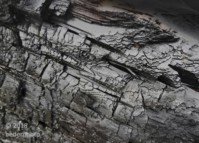 charred beach log #2