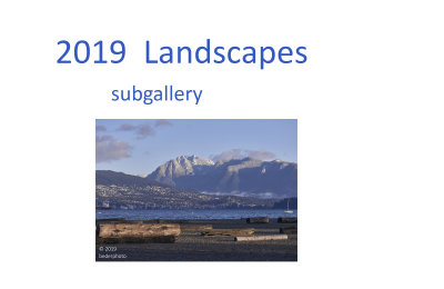 2019_landscapes