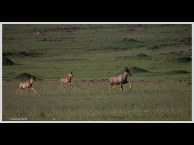 Kenya slide show-jpeg-022.jpg