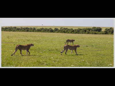 Kenya slide show-jpeg-029.jpg