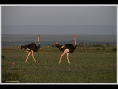 Kenya slide show-jpeg-033.jpg
