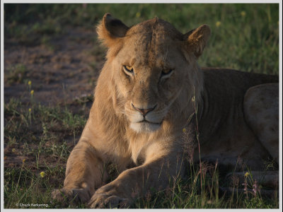 Kenya slide show-jpeg-042.jpg