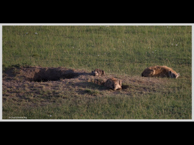 Kenya slide show-jpeg-043.jpg