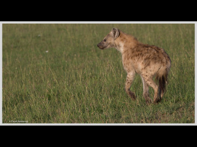 Kenya slide show-jpeg-044.jpg