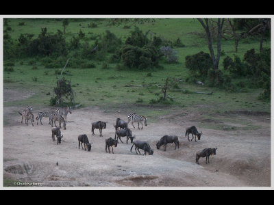 Kenya slide show-jpeg-051.jpg