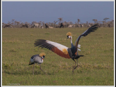 Kenya slide show-jpeg-064.jpg