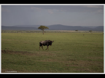Kenya slide show-jpeg-070.jpg