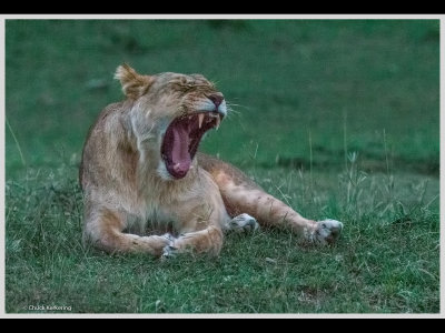 Kenya slide show-jpeg-078.jpg