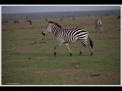 Kenya slide show-jpeg-084.jpg