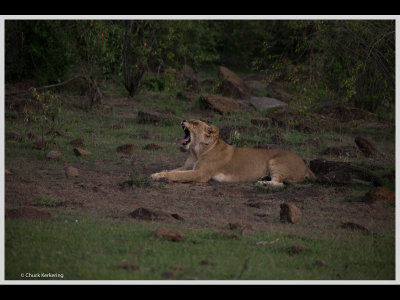 Kenya slide show-jpeg-085.jpg