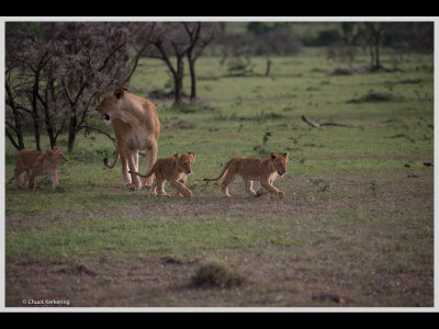 Kenya slide show-jpeg-086.jpg
