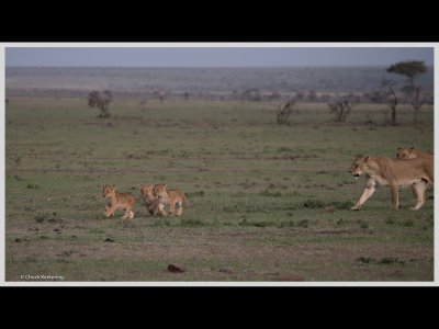 Kenya slide show-jpeg-087.jpg
