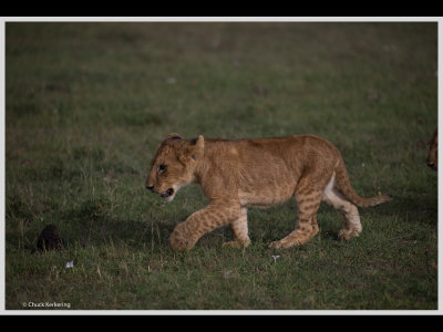Kenya slide show-jpeg-088.jpg