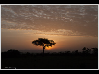 Kenya slide show-jpeg-092.jpg
