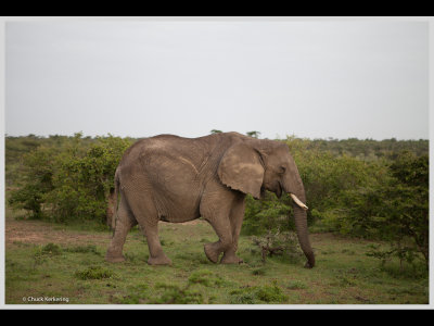Kenya slide show-jpeg-094.jpg