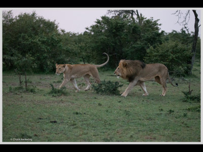 Kenya slide show-jpeg-095.jpg