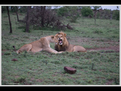 Kenya slide show-jpeg-096.jpg