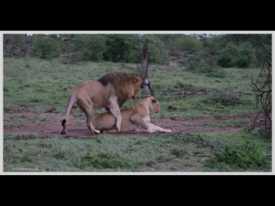 Kenya slide show-jpeg-098.jpg