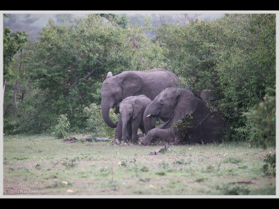 Kenya slide show-jpeg-115.jpg
