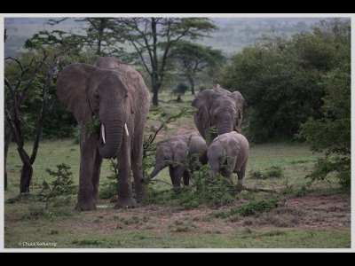 Kenya slide show-jpeg-116.jpg