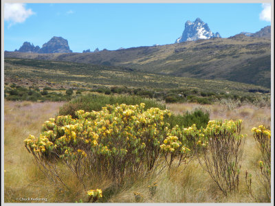 Kenya slide show-jpeg-130.jpg