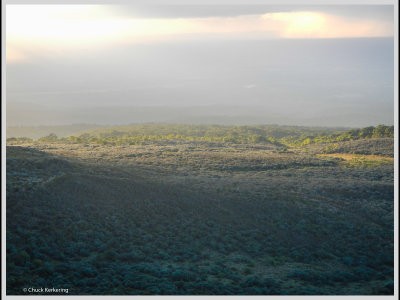 Kenya slide show-jpeg-134.jpg