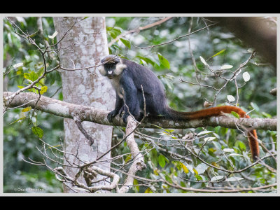 Kenya slide show-jpeg-149.jpg