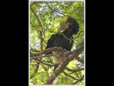 Kenya slide show-jpeg-154.jpg