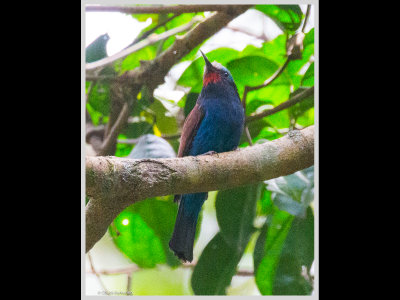 Kenya slide show-jpeg-156.jpg