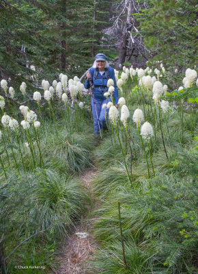 JO_HIKING_THROUGH_BEAR_GRASS_MT._SPOKANE.jpg