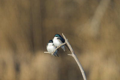 IMG_023601.jpg