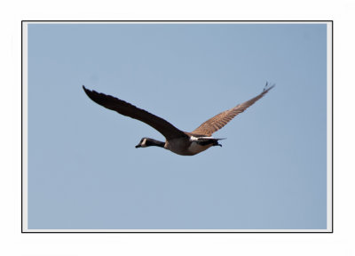 nature2010