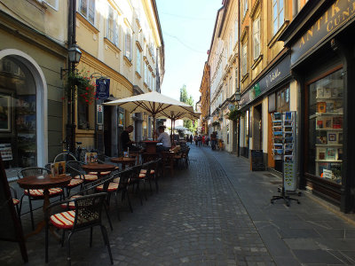 DSCF3925 net.jpg