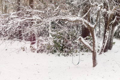 January
