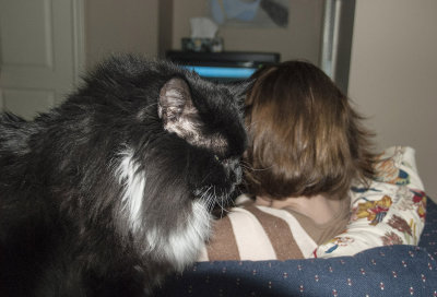 Hairy cat, Charlie, and wife's hair