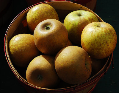 Russet apples, a childhood favorite