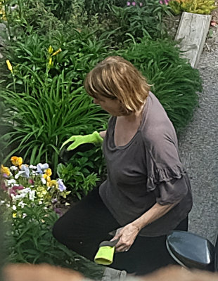 My Wife Gardening
