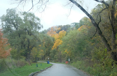 Fall in an area where my wife once lived