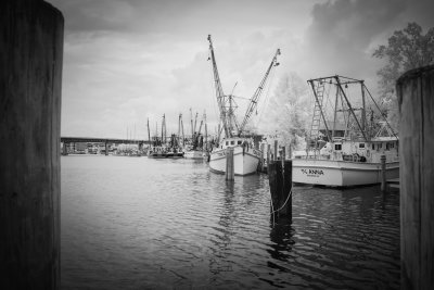 Darien Georgia Shrimpers-1.jpg