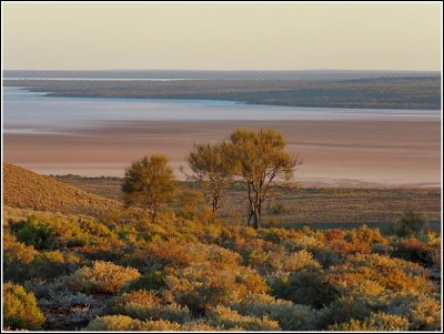 On my return home, i camped on the hill overlooking the Salt Lakes.This was the view from my van.
I was the only roadside camper!