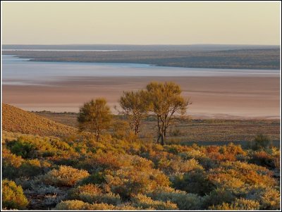 On my return home, i camped on the hill overlooking the Salt Lakes.This was the view from my van.
I was the only roadside camper!
