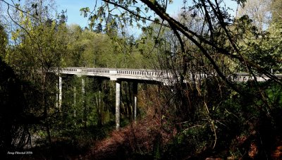3-29-2016 1929 Woodway Bridge