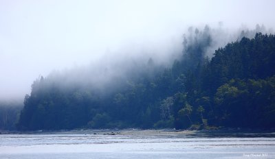 8-10-2017 Foggy morning at Freshwater Bay