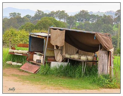 Pumpkins Anyone?
These unattended farm stalls in the country
work on the Honesty System.
Buy what you need and leave the money
in the box provided.