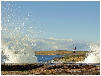 It looks like this fisherman got lucky
This was taken below Barrack Point, a very popular fishing spot.

