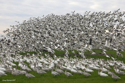 12-12-2017 lined up and ready for takeoff_3525.JPG