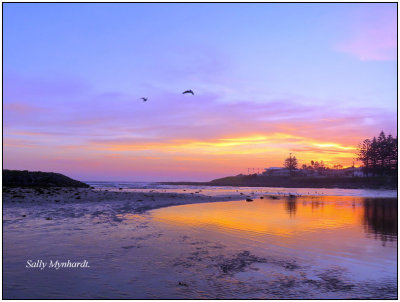 A beautiful early morning capture walking towards the Little Lake mouth.